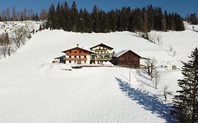 Klammgut